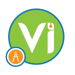 Vizion Interactiv_Rebranded_Full logo-03
